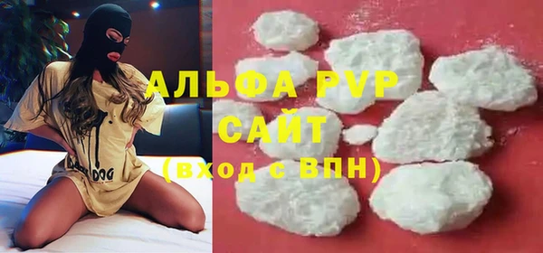 a pvp Новозыбков