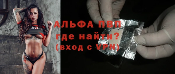 a pvp Новозыбков