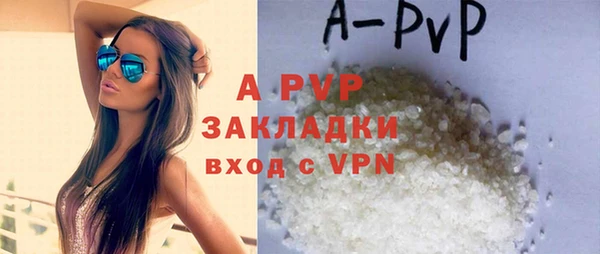 a pvp Новозыбков