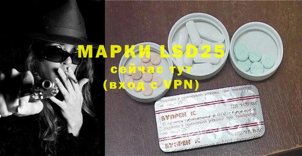 a pvp Новозыбков