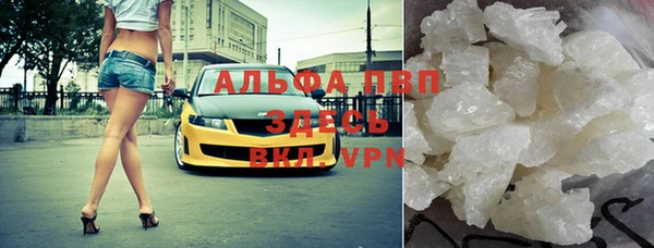 альфа пвп Новодвинск