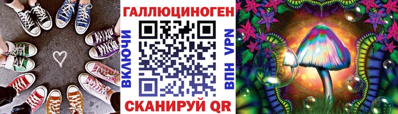 Псилоцибиновые грибы Psilocybine cubensis  Нахабино 