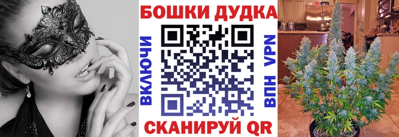 Канабис ГИДРОПОН  Нахабино 